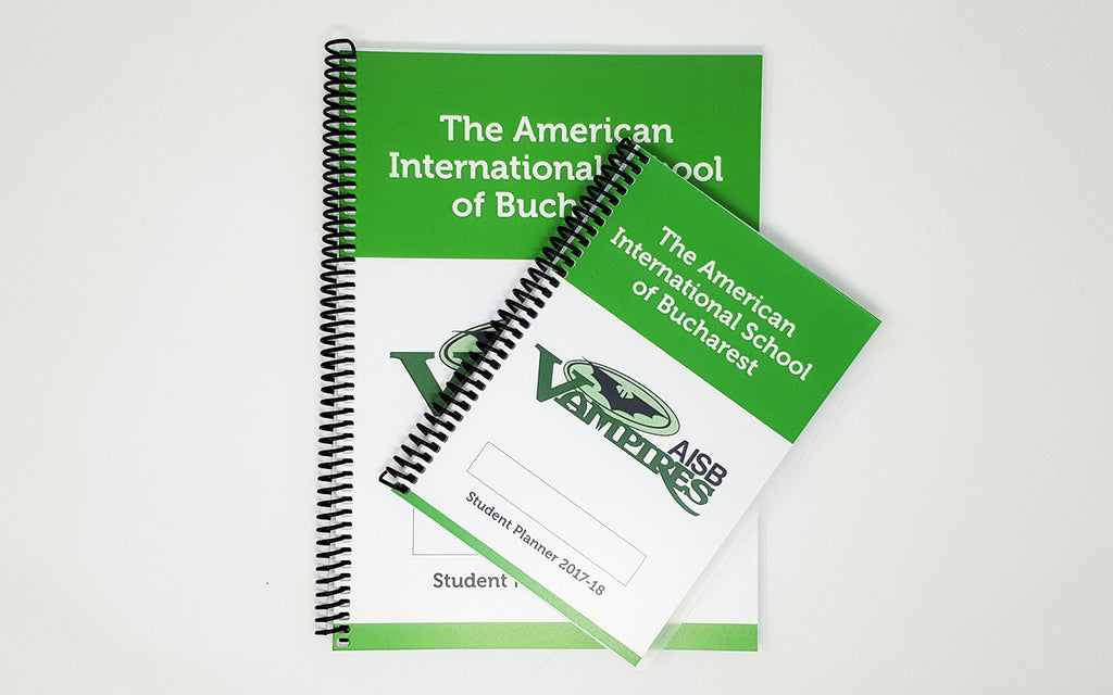 Case Study: The American International School of Bucharest